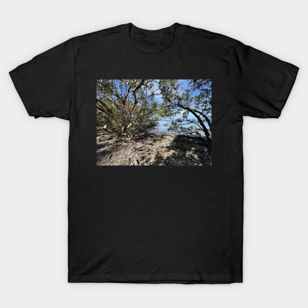 Small Hidden Beach at Robinson Preserve T-Shirt by Sparkleweather